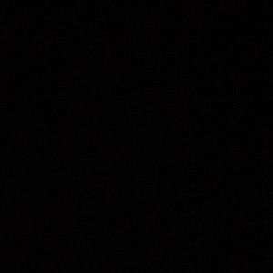 Meet your Posher, Allie